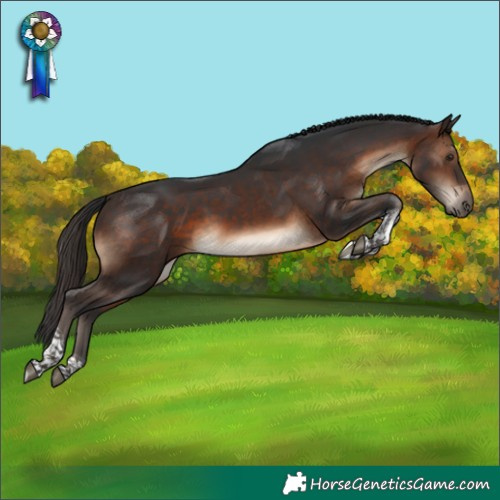 Horse Color:Brown Tobiano