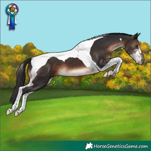 Horse Color:Brown Sabino Tobiano