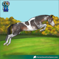 Horse Color:White Spotted Brown Tobiano