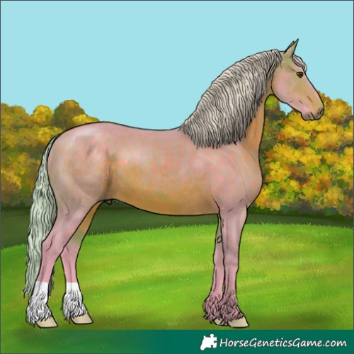 Horse Color:Watercolor Silver Brown