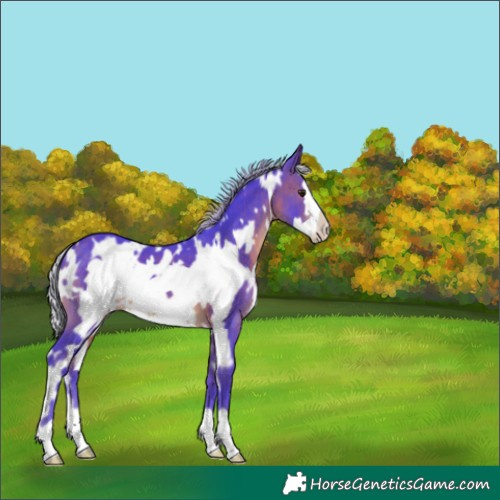 Horse Color:Watercolor White Spotted Silver Brown Frame 