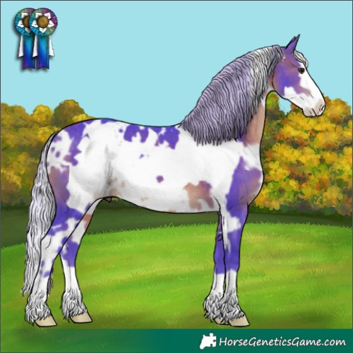 Horse Color:Watercolor White Spotted Silver Brown Frame