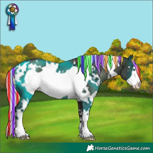 Horse Color:Painted White Spotted Silver Brown Frame Rabicano 