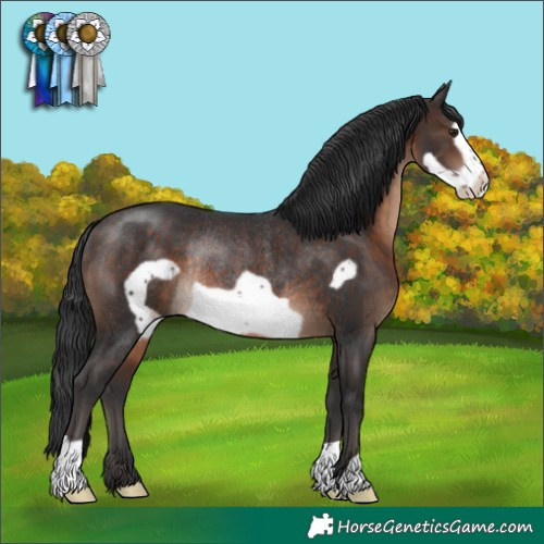 Horse Color:Brown Frame Rabicano