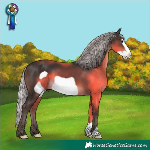 Horse Color:Silver Brown Frame