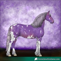 Horse Color:Watercolor White Spotted Silver Brown Tobiano Rabicano