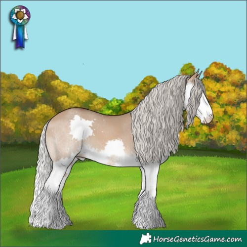 Horse Color:Silver Brown Dun Splash