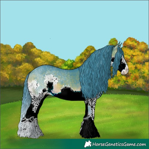 Horse Color:Watercolor Brown Splash 