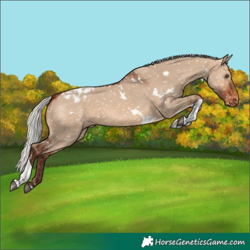 Horse Color:White Spotted Silver Brown Dun Tobiano Appaloosa Rabicano