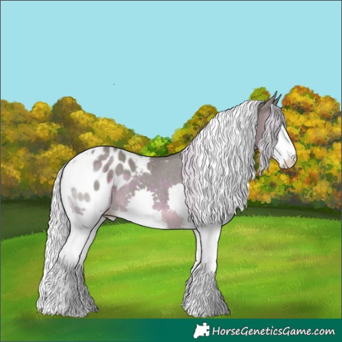 Horse Color:Watercolor Silver Black Splash Tobiano Blanket