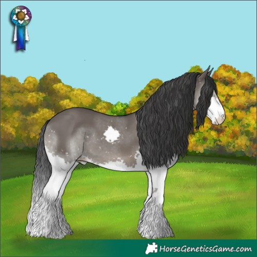 Horse Color:Grullo Splash