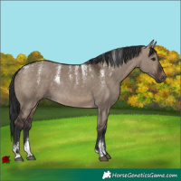 Horse Color:Powder White Brown Dun Rabicano