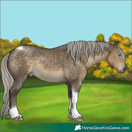 Horse Color:Silver Smoky Grullo Tobiano 
