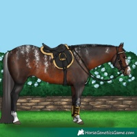 Horse Color:Powder White Brown Rabicano 