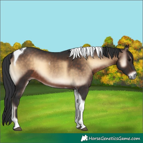 Horse Color:Brown Onyx Tobiano 