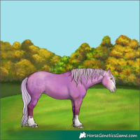 Horse Color:Gray Silver Classic Champagne Dun