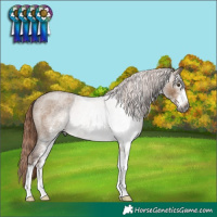 Horse Color:Gray White Spotted Liver Red Dun Roan Rabicano 