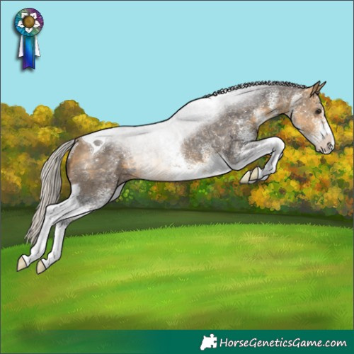 Horse Color:White Spotted Silver Buckskin Tobiano Rabicano
