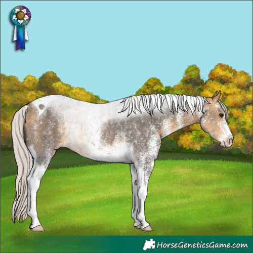 Horse Color:White Spotted Silver Buckskin Tobiano Rabicano 