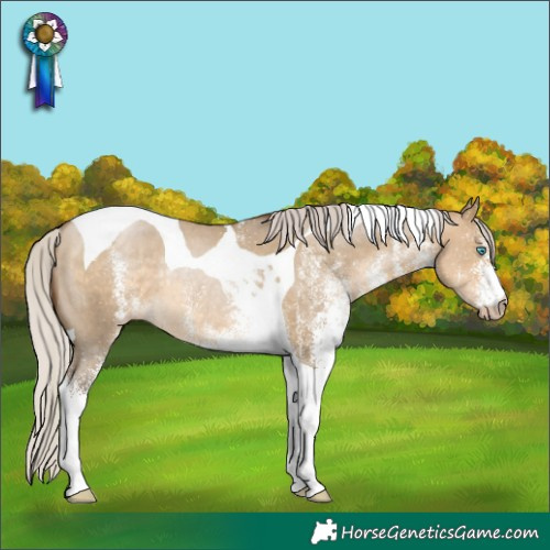 Horse Color:Gray White Spotted Silver Buckskin Pearl Dun Tobiano Rabicano
