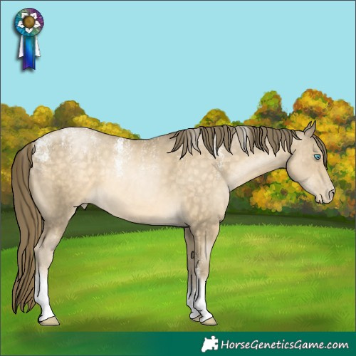 Horse Color:Powder White White Spotted Buckskin Pearl