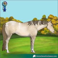 Horse Color:Powder White White Spotted Buckskin Pearl