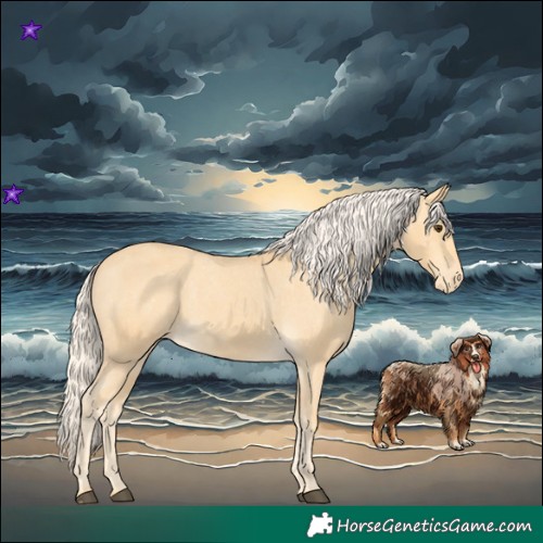 Horse Color:Palomino Varnish 