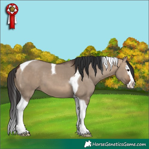 Horse Color:Bay Dun Splash Tobiano