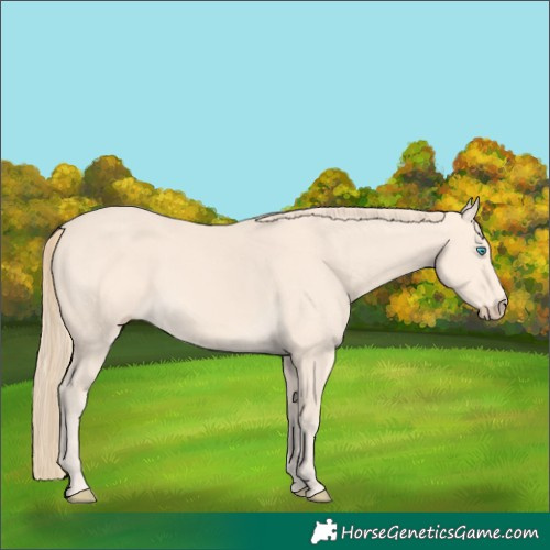 Horse Color:Perlino