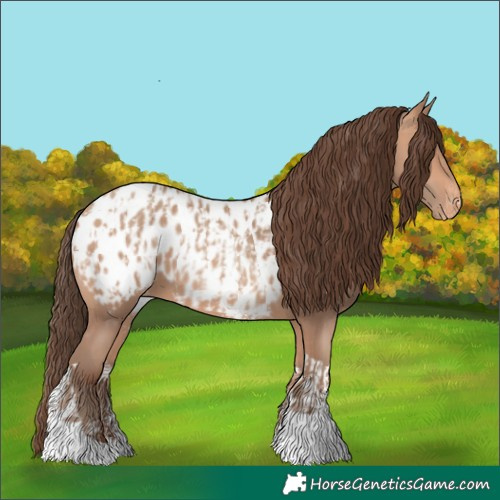 Horse Color:Amber Champagne Sabino Tobiano Blanket  and Amber Champagne Sabino Tobiano Blanket 