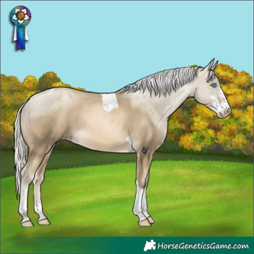 Horse Color:Silver Smoky Black Pearl Sabino Tobiano Skewed Appaloosa Rabicano