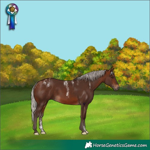 Horse Color:Powder White Silver Brown Rabicano