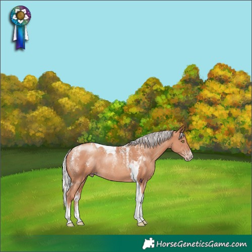 Horse Color:Powder White Silver Sable Champagne Tobiano Rabicano 