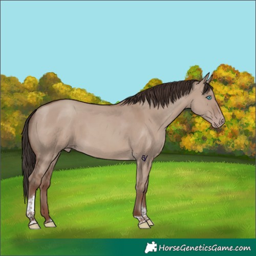 Horse Color:Classic Champagne Dun Tobiano