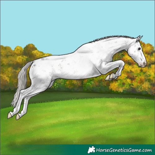 Horse Color:White Spotted Silver Smoky Grullo Sabino