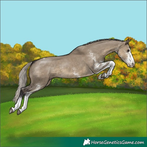 Horse Color:White Spotted Silver Smoky Grullo Tobiano 