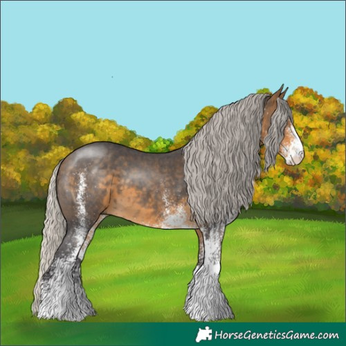 Horse Color:White Spotted Silver Buckskin