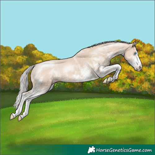 Horse Color:White Spotted Silver Smoky Creme