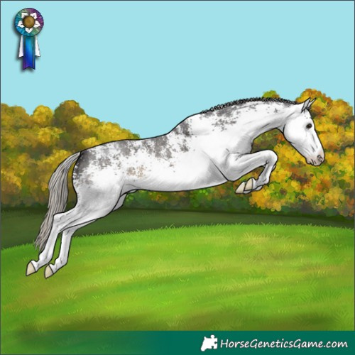Horse Color:White Spotted Silver Smoky Black 