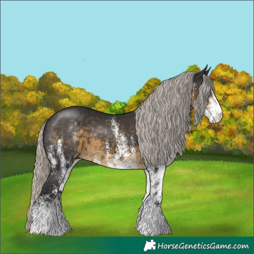 Horse Color:White Spotted Silver Smoky Black 