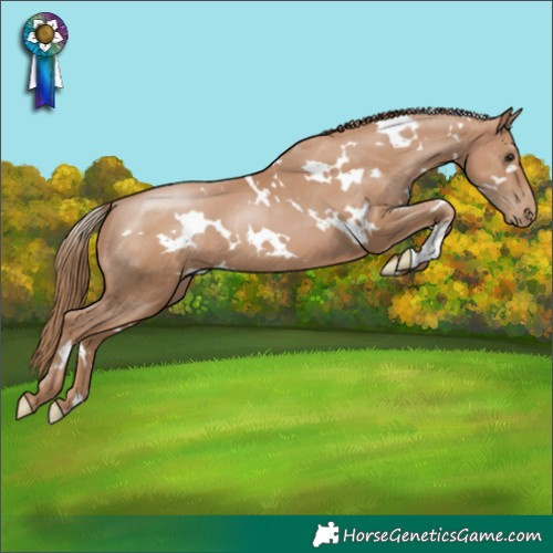 Horse Color:White Spotted Black Pearl 
