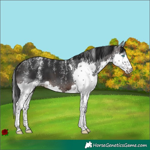 Horse Color:Powder White Brown Splash Tobiano
