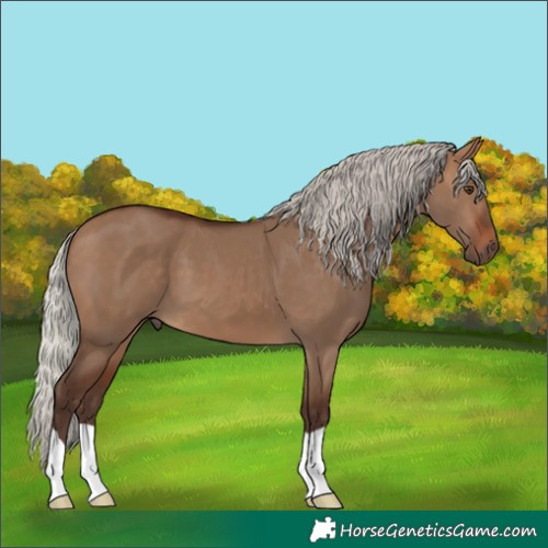 Horse Color:Silver Brown Dun