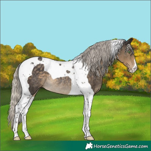 Horse Color:Silver Smoky Black Tobiano Rabicano