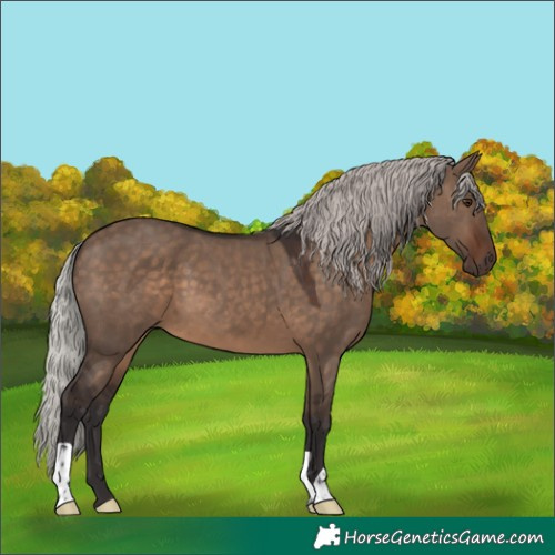 Horse Color:Silver Brown Dun