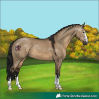 Horse Color:Gray Brown Dun 