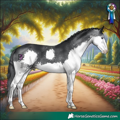 Horse Color:Black Chinchilla Splash 