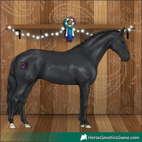 Horse Color:Black Chinchilla