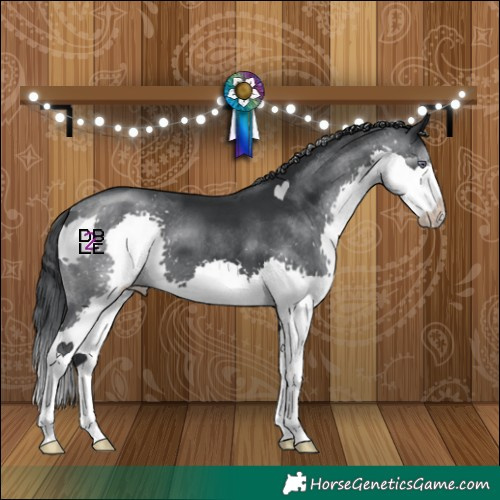 Horse Color:Black Chinchilla Splash 