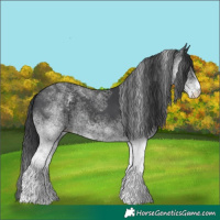 Horse Color:White Spotted Black 